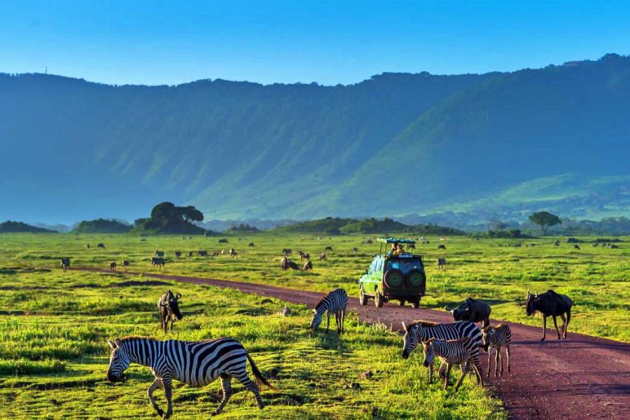 african beast tours and safaris