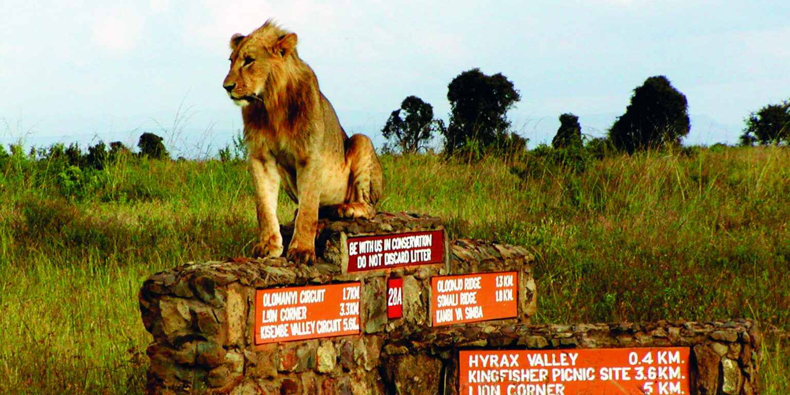 Early Morning Tour To Nairobi National Park,Elephant Orphanage And ...